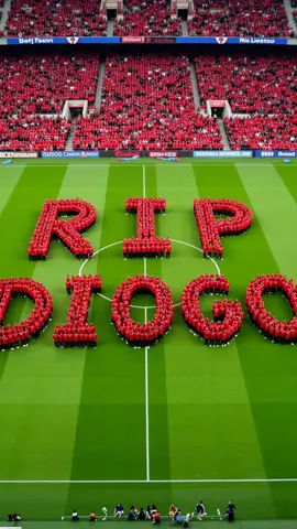TIP DIOGO JOTA 🕊️  💔#jota #liverpoolfc #PremierLeague #liverpool #ripjota #rip 