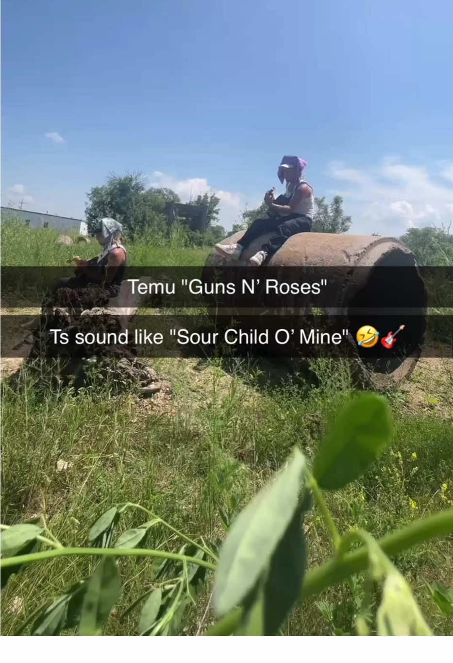 Temu 
