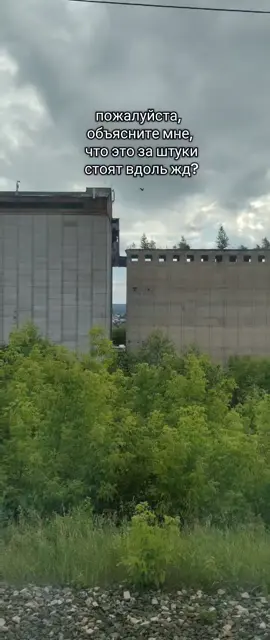 что это? #популярные 