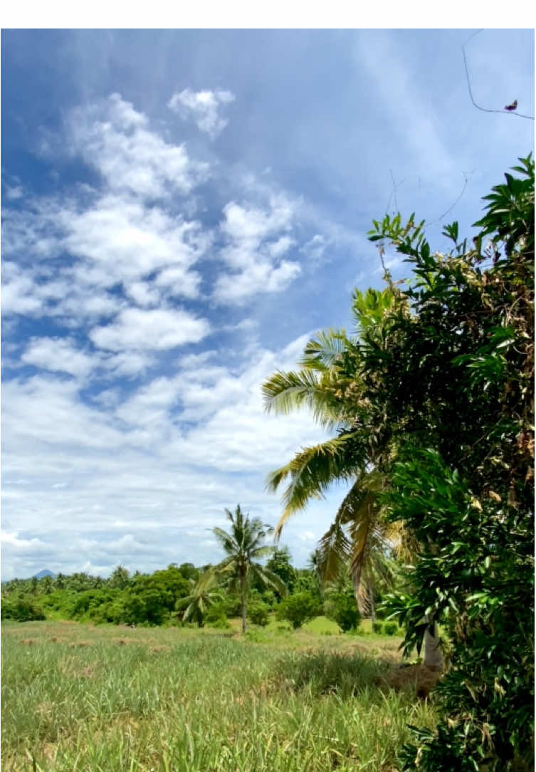 Best nature background music #fyp #trending?song🔥 #oldsong #vibes #farmlife 