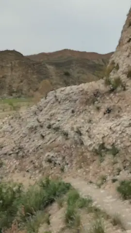 #viralplz #viewsproblem😭 #please support me #viewsproblem #please #foryoupage #foryou #viral #Unfreezemyaccount 