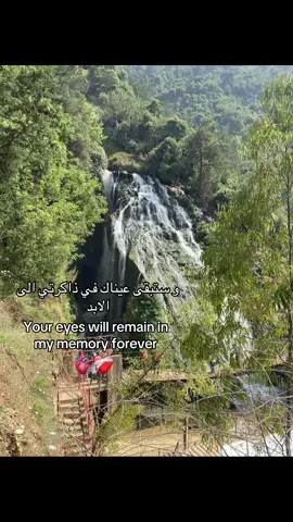 عيون سمك#CapCut #fupシ #foryou #viewsproblem #lebanon #lebanon #الشعب_الصيني_ماله_حل😂😂 ‏أحبتنا#like #CapCut #viewsproblem #like #views#foryou 