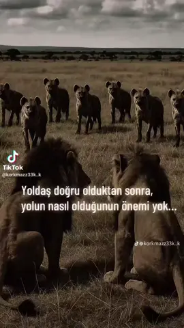 #edilee #metin2 #kesfetteyizzzzz #tiktokviral 