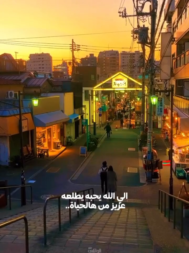 الي الله يحبه#الشيخ_احمد_الوائلي 