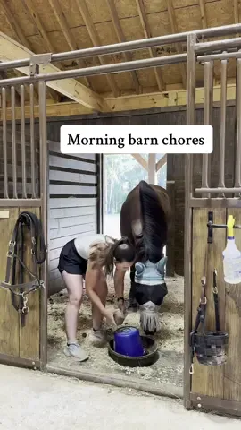 Eat, sleep, and repeat all again the next day 🤠  #horses #equestrian #donkey #minidonkey 