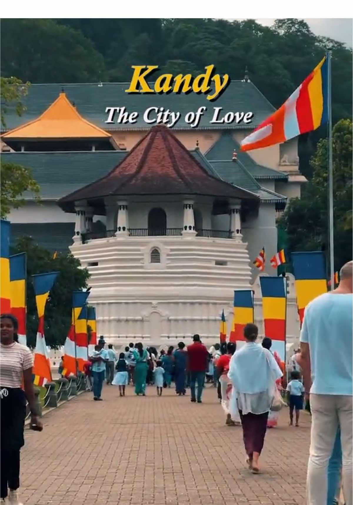 හුදෙක් මතකයන් එක්ක..🍃🤍 ජීවිතේ කියාදුන් ප්‍රේමණීය නගරය..❤️✨ . . . . . . #kandy #SriLanka #Lovekandy #kandy #kandycity#kandycityシ #fypジ°viralシ #fyp #beautiful #morningcity #mindrelax #travelkandy #1MillionChallenge #beautifullcity #NaturalBeauty #kandypeople #visitsrilanka2024 #travelsrilanka #travelcity #viralreelsfb #viralpostfb #viralvideo #viral #touristattraction #queenshotel #kandylake #robarosiya #kandyrobarosiya #realxcitysrilanka #clocktower #tiktokviralvideo #tiktok #tiktoksrilanka #tiktok #yp≥ #trendingvideo #tiktokkandy #niceplace