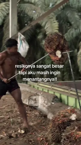 sehat sehat ya badan pertempuran kita masih panjang 🙂#katakata #fypシ #fyp #viral?videotiktok😇😇 #fyppppppppppppppppppppppp #bismmillahfyp #trending #rafikulisawet #ototkuli #sawitsumatraindonesia🌴🌴🌴 #pinginsukses 