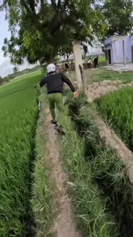 toà không chơi làm sao toà hiểu được