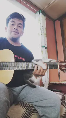 Haciendo música con mi hijito o intentando hacerla en realidad 😅#musica#gato#michi#animales#hijo#viral 