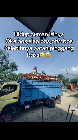 🥲🥲#fyppppppppppppppppppppppp #tokehmuda #4upage #bossawit🌴 #foryoupage #fypage #fypage #tokesawit 