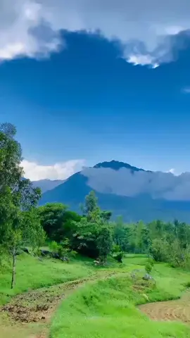 #hazarabeauty #foryoupage #creatorsearchinsights 