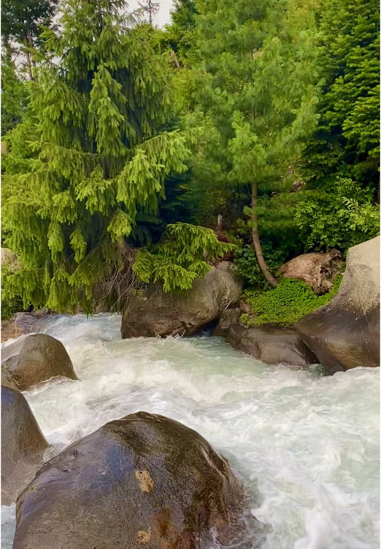 Amazing Natural Beauty Of Swat Valley ( Gaheel Waterfalls Kalam ) . #trending #foryou #F #viralvideos #discoverswat2024 #pakistan @Discover Swat @Mr MaQQ$ooD♧♧ @🦅🦅Ak ❤️Khan 