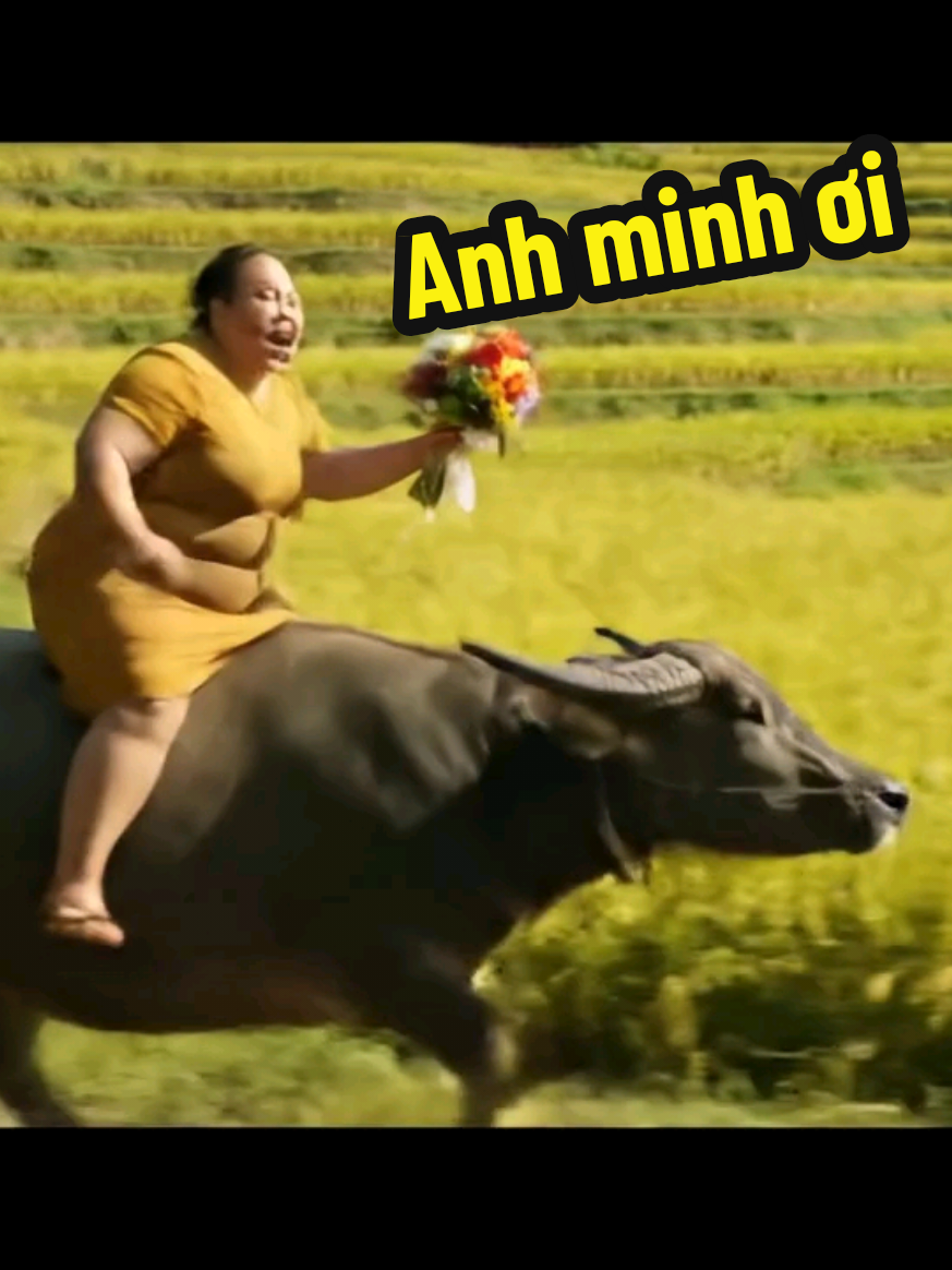 Anh minh ơi anh ở bên #veo3 #veo #phitrau #xuhuongtiktok #xuhuong #shorts #AI #ai #phitrautimnguoiyeu #shortvideo 