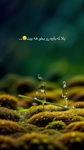 بلا ته باوه رو بخو هه بيت😌…#ئه_كتيڤ_بن #aynor_n9 #💛 
