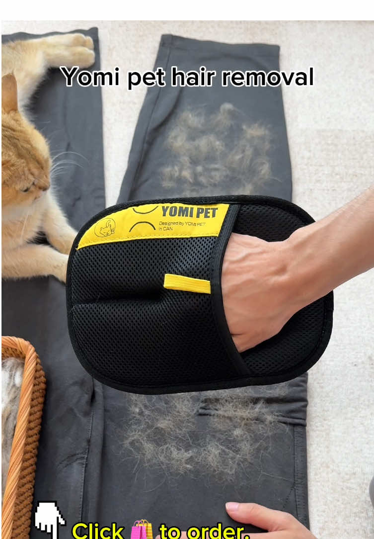 This is the best and fastest way to remove pet hair! I use this everywhere🐾#dealsforyoudays #pethairremoval #petproducts #fyp #tiktokmademebuyit 