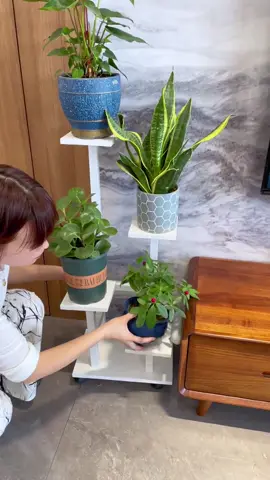 Kệ để cây nhiều tầng trong nhà 