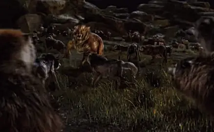 Aura vs aura💀 #mowgli #bagira #sherekhan #auraedit #foryou #aura 