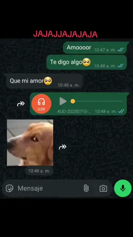 JAJAJAJJAJA 🥹 #audioswhatsapp #audios #viralditiktok #amor #paratiiiiiiiiiiiiiiiiiiiiiiiiiiiiiii 
