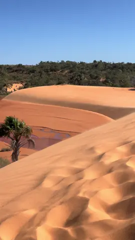 #jalapao #tocantins #ecosavanaexpedicoes #dunasdojalapão 
