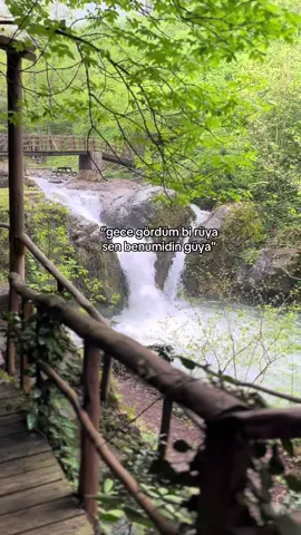 rüyadan uyanince… #alibaran #rize #trabzon #28 #trabzon #giresun #61 