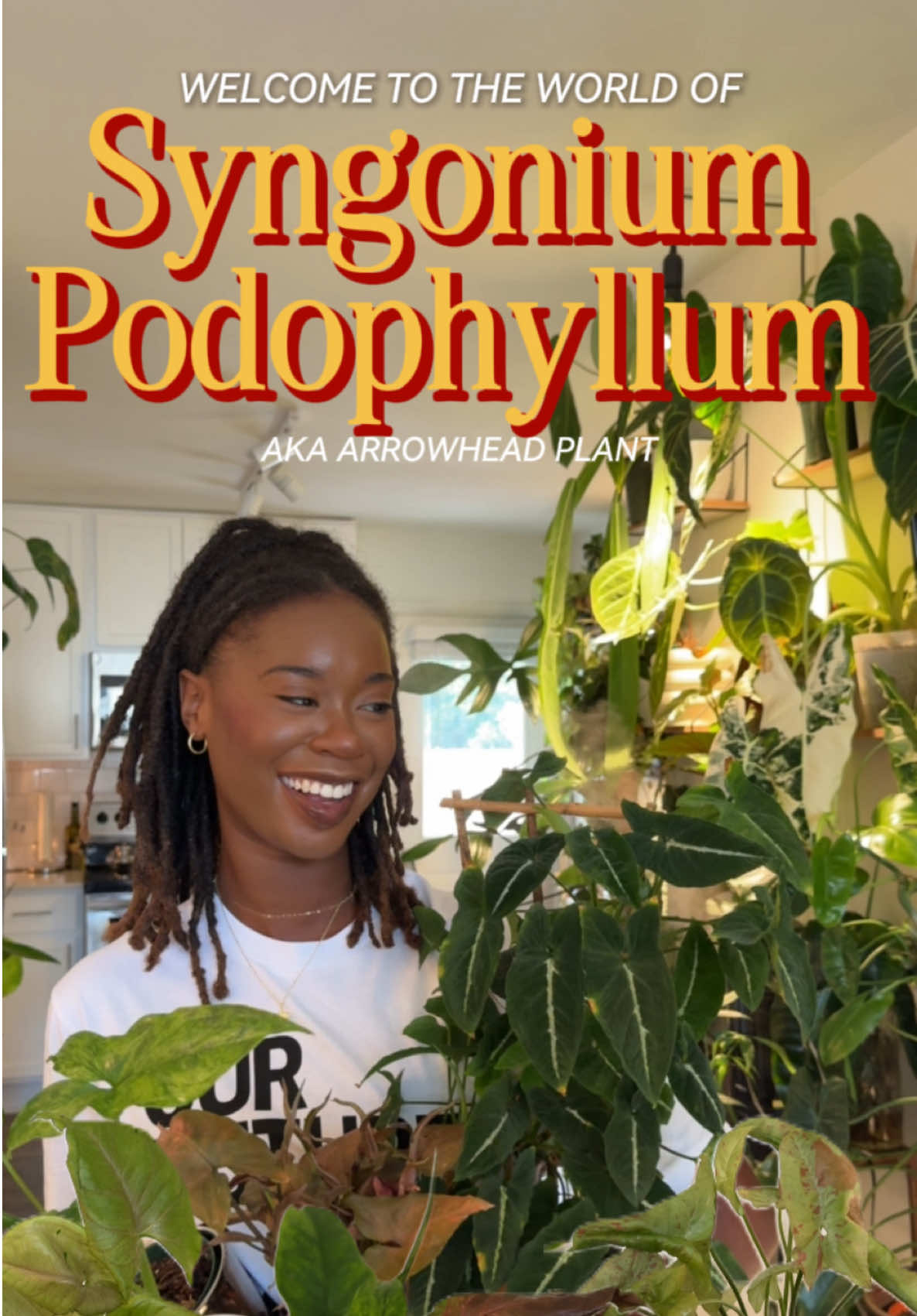 PSA: If your plant collection is missing a Syngonium… it’s incomplete. 🪴🗣️ —- Shameless plug, most of my Syngoniums came from @PropandGrow #plantmom #plantlover #plantsmakepeoplehappy #syngonium #plantcollection 