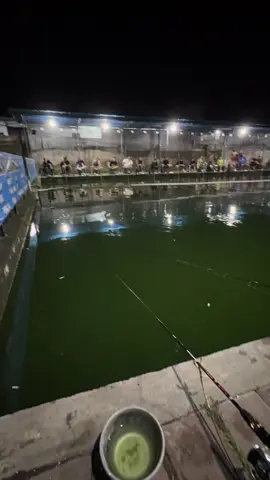 mojok mulu😰 #galatamabawal #bawal #fyp #foryoupage 