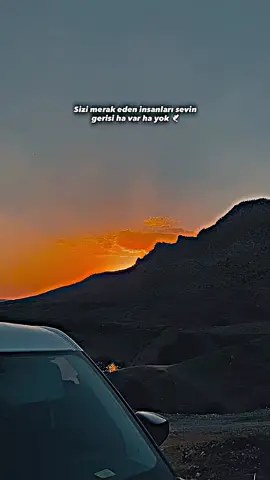 🕊️