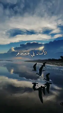 #الطيبة #الظلم #كن_مع_الله_يكن_معك #ثقه_في_الله_نجاح ##المانيا #سوريا #كوردستان #islamic_video #تصميمي 