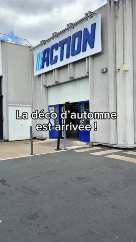L’automne est arrivé chez @action.france ✨ Petit haul shopping chez Action qui a déjà sortit sa collection Automne 🍂  D’après vous ?! Est ce que j’ai craqué ?!  Belle journée les p’tits chats 🫶🏼 ( haul . Shopping. Action . Automne . Shoppers . Repérage deco . Décoration ) #haul #shopp #shopping #shoppers #action #actionfrance #actionshop 