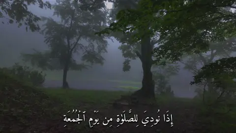 إِذَا نُودِيَ لِلصَّلَوٰةِ مِن يَوۡمِ ٱلۡجُمُعَةِ (سورة الجمعه) #القارئ#ماهرالمعيقلي#قران#quran  #اكتب_شي_توجر_عليه  #سبحان_الله_وبحمده_سبحان_الله_العظيم  #اللهم_صل_وسلم_على_نبينا_محمد  #استغفرالله 