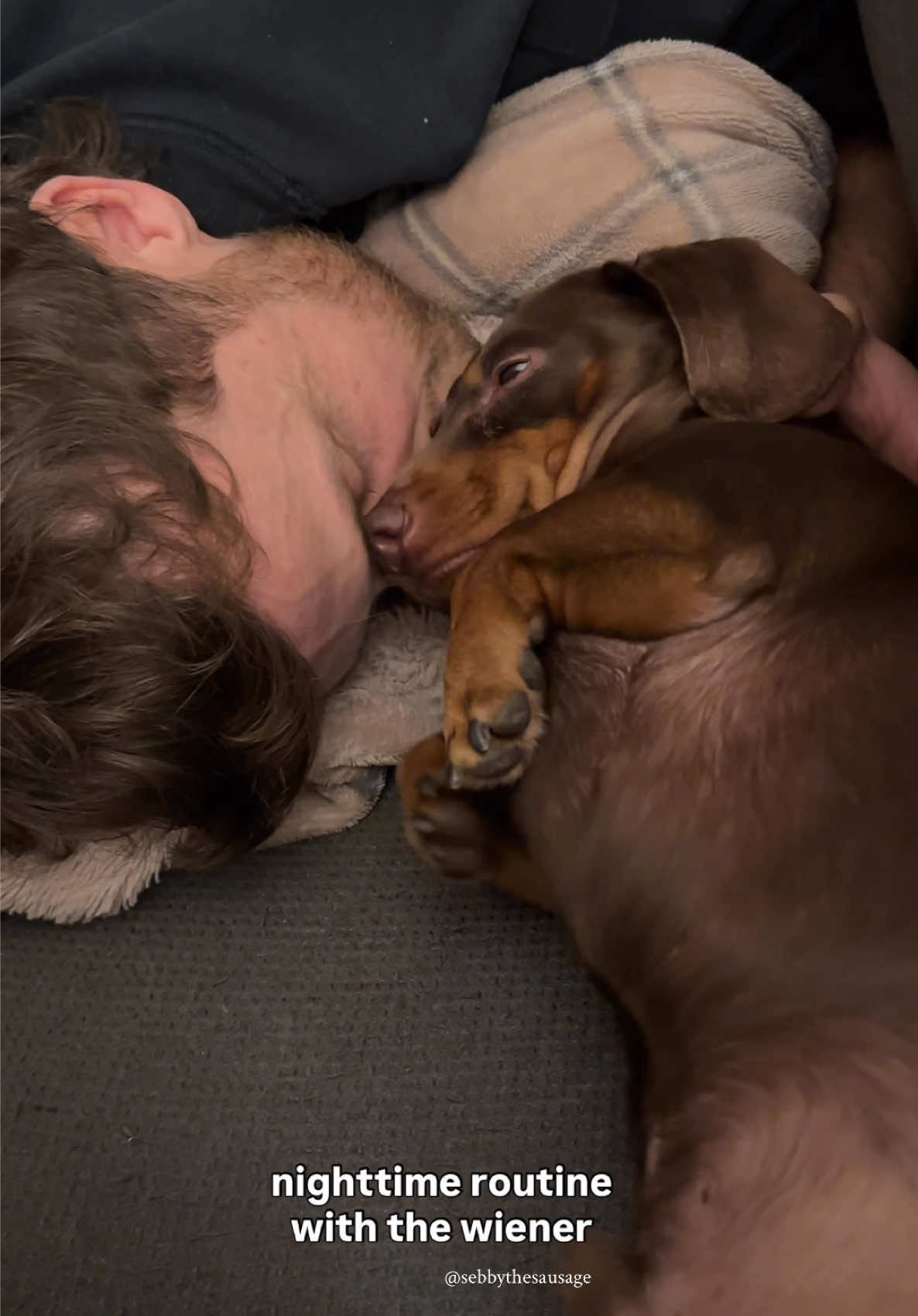 nighttime routine with a sleepy wiener 🥹 I know you guys were missing their chats!!! #dachshund #minidachshund #sausagedog #wienerdog #doxie #minidachshundpuppy #dachshundpuppy #sausagedogpuppy #doxen #cutestpuppy puppy noises, sleeping puppy, small puppy, crying puppies, miniature dachshund, puppy tantrum, cute small puppy, puppy fever, puppy phase, puppies routine, little puppies, cute dachshund videos, puppiesoftiktok, puppy sounds, puppy routine, puppy belly, puppy fever, sebbythesausage, dog parents, separation issues, dog crying video, nighttime routine with the wiener, Toronto wiener dog