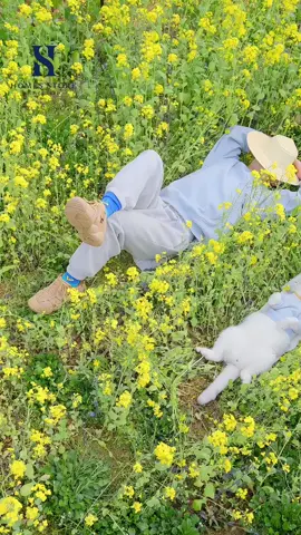 cát vệ sinh cho mèo#trending #😚😚😚😚😚👌🌺💞💖❤️🌷 #foryou #xuhuongtiktok #fyp #viralvideo #tiktokviral #cat #chomeo 