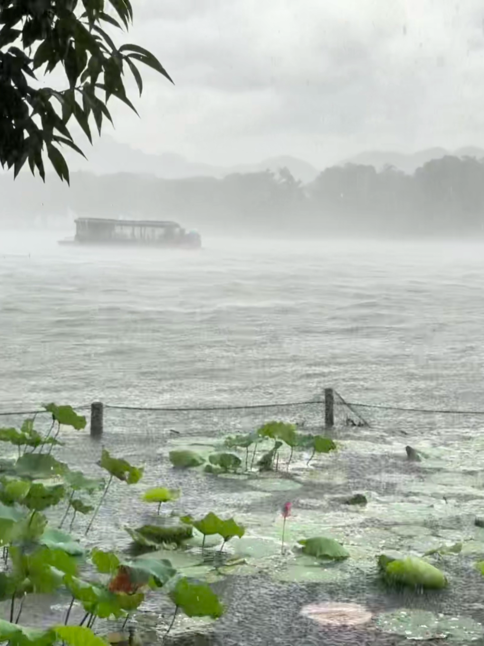 i can see it in your eyes