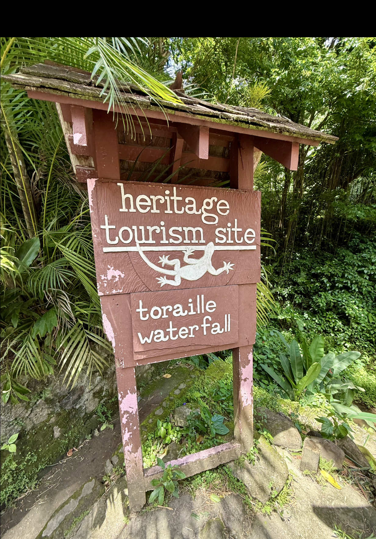 Toraille Waterfall - Soufriere, St. Lucia 🇱🇨 #toraillewaterfall #waterfalls #stlucia #saintlucia #soufrierestlucia #adventure #swimming #easterncarribean #westindies 