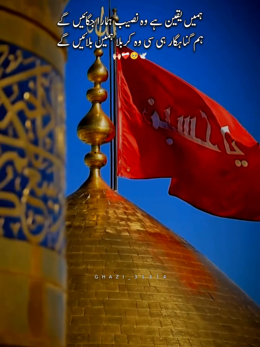 ہمیں یقین ہے وہ نصیب ہمارا جگائیں گے ہم گناہگار ہی سی وہ کربلا ہمیں بلائیں گے😭❤️‍🩹🥺 #anahaiabkarbala  #moulakarbalabulaly  #anazawarhussainabneali  #karbala_karbala  #کربلا_معلی  #moulahussainع  #hussain💔  #growmyaccount✅  #ghazi_31314  #goviralgo  #10millionviews 