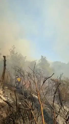 دقيقه تلخص حكايه 8أيام عمل على مدار الساعة لإخماد الحرائق ، إلى الأن مازال المعل مستمر ، أبطال بكل ما تعنيه الكلمة من معنى#الساحل_السوري #حسن_حلبي #ابن_مدينة_حلب_الشهباء #حلبي_والأصل 