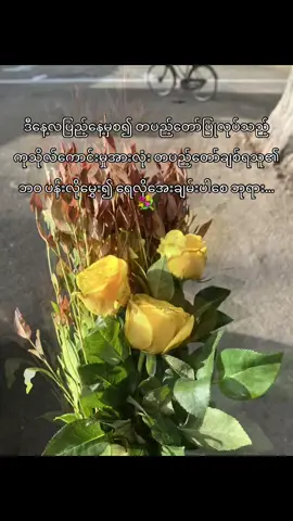 ❤️‍🩹 #fyppppppppppppppppppppppppppppppppppp #myanmartiktok🇲🇲🇲🇲 #VASUN #သတိရခြင်းများစွာဖြင့် #တီချယ် #crdစာသား💖 