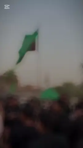 هيئة الطفوف الحسينية 