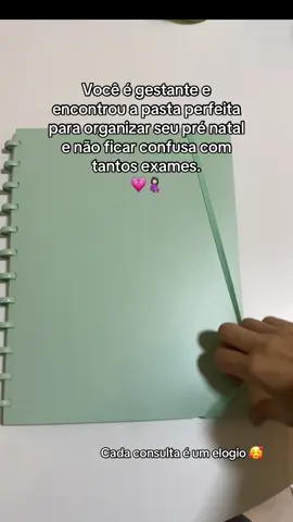 Cada comsulta é um elogio. 🥰💗 Para receber o link é só comentar QUERO.  #gestante #gravidez #fyyyyyyyyyyyyyyyy #gestacao #mae #organizacao 