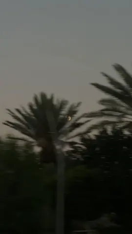 أيا بدراً كم سهرت عليك نواظري 💙 #بدون_موسيقى #explore #قمر #فصحى #بدر 