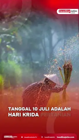 🌾 10 Juli – Hari Krida Pertanian Bukan hari besar yang disorot media. Tapi justru di sinilah napas bangsa sesungguhnya berakar: dari tanah, dari peluh, dari tangan-tangan petani yang jarang disorot kamera. Indonesia pernah bangga disebut negeri agraris. Tapi kini, sawah makin sunyi, dan petani makin tua. Tanah-tanah subur diganti beton. Pangan lokal digeser instan. Namun harapan belum padam. 👩‍🌾 Anak muda mulai kembali ke desa. 🌱 Kebun kota tumbuh di atap dan gang sempit. 💡 Teknologi bertemu kearifan lokal. Hari ini, mari menunduk sejenak—bukan menyerah, tapi hormat. Karena nasi di piringmu, bukan dari pabrik. Tapi dari ladang, dari tetes keringat yang tak terdengar. 📢 Petani bukan masa lalu. Mereka fondasi masa depan. #HariKridaPertanian #10Juli #DariSawahUntukBangsa #PetaniAdalahPahlawan #JagaPanganKita #KembaliKeAkar #HeadlineHariIni #BanggaProdukTani #TolakLupaAgraria 