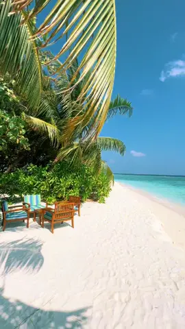 #vacances #maldives #vadoo #fyp #🇲🇻🏝 