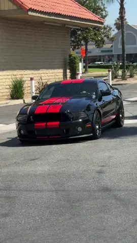 Roll up 🐍 #socalshelbys #shelby #ford #fyp #mustang 