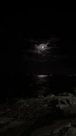 #corniche #bizerte #tunisia🇹🇳 #tunisienne🇹🇳 #myvideo #explore #photography 