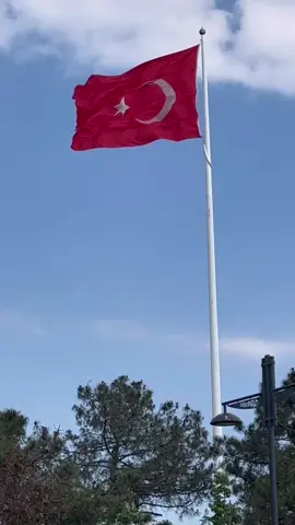 Dağlarda yankılanan bir nefes, tarihin derinliklerinden gelen bir izdir Türk. Zulme karşı direniş, mazluma umut, toprağa can olmuş bir sestir. Her çağda bir ateş gibi yanmış, her coğrafyada bir iz bırakmıştır. Türk, sadece bir millet değil; adaletin, cesaretin ve vefanın adıdır. Var olsun, daim olsun.  #keşfetteyizzz 