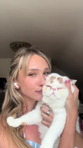 It’s Mr Mochi’s world and we are just living in it  #catsoftiktok #cat #a#PetsOfTikTok 
