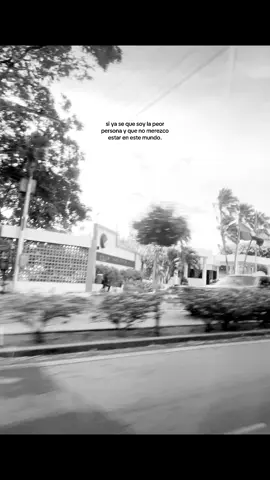 . #apoyo #pinchitiktokponmeenparati #viral 