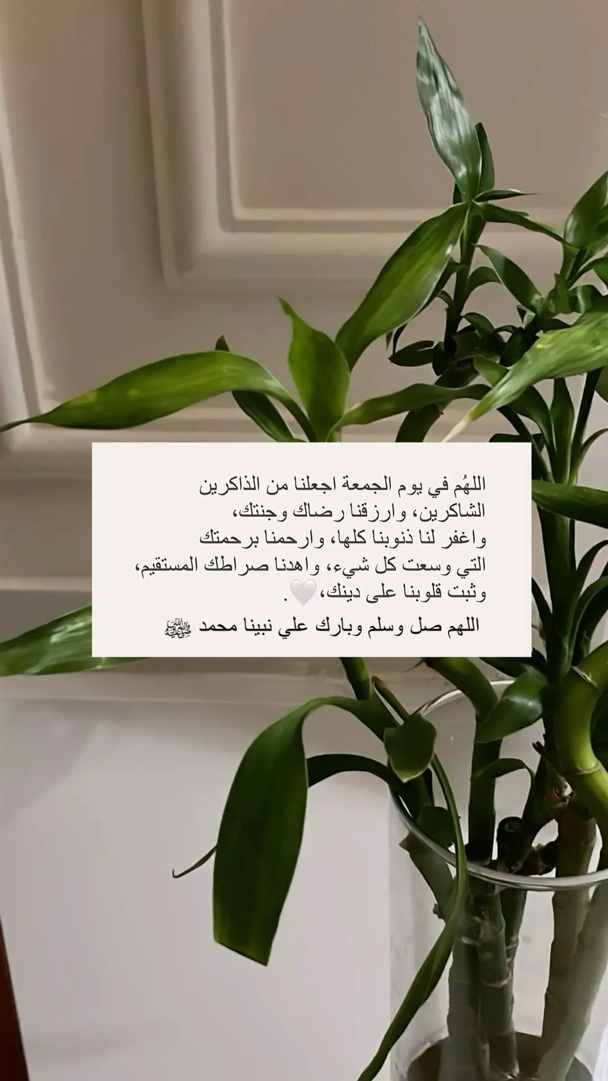 اللهم صل وسلم وبارك علي نبينا محمد ﷺ #اكسبلور #fyp #ex#اكسبلورe#fypت#explorepageه#استغفرالله##الله#دعاءن#ذكره#يارب_#سبحان_الله_#اجر_لي_ولكم#يوم_الجمعه#صلوا_على_رسول_اللهينا_محمد#الكهف   