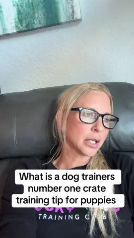 #DogTraining #dogtrainingmadesimple #dogtrainer #doggo #fyp #puppytraining 