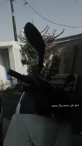 الحلالات الجديد  ماكس ثعلب  ماكس منغولي💪